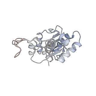 20056_6ogf_I_v1-2
70S termination complex with RF2 bound to the UGA codon. Partially rotated ribosome with RF2 bound (Structure III).