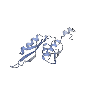 20056_6ogf_J_v1-1
70S termination complex with RF2 bound to the UGA codon. Partially rotated ribosome with RF2 bound (Structure III).