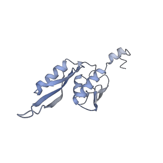 20056_6ogf_J_v1-2
70S termination complex with RF2 bound to the UGA codon. Partially rotated ribosome with RF2 bound (Structure III).