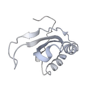 20056_6ogf_K_v1-1
70S termination complex with RF2 bound to the UGA codon. Partially rotated ribosome with RF2 bound (Structure III).