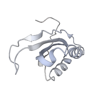 20056_6ogf_K_v1-2
70S termination complex with RF2 bound to the UGA codon. Partially rotated ribosome with RF2 bound (Structure III).