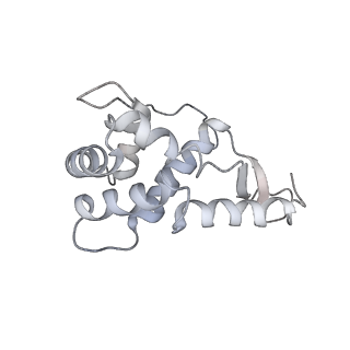 20056_6ogf_L_v1-1
70S termination complex with RF2 bound to the UGA codon. Partially rotated ribosome with RF2 bound (Structure III).
