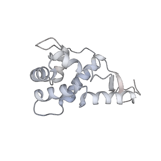 20056_6ogf_L_v1-2
70S termination complex with RF2 bound to the UGA codon. Partially rotated ribosome with RF2 bound (Structure III).