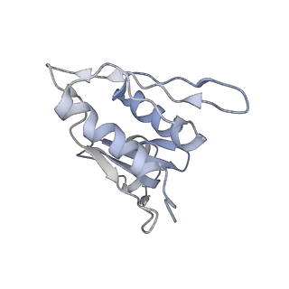 20056_6ogf_M_v1-1
70S termination complex with RF2 bound to the UGA codon. Partially rotated ribosome with RF2 bound (Structure III).
