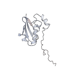 20056_6ogf_N_v1-1
70S termination complex with RF2 bound to the UGA codon. Partially rotated ribosome with RF2 bound (Structure III).