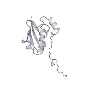 20056_6ogf_N_v1-2
70S termination complex with RF2 bound to the UGA codon. Partially rotated ribosome with RF2 bound (Structure III).