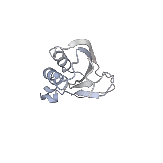 20056_6ogf_P_v1-2
70S termination complex with RF2 bound to the UGA codon. Partially rotated ribosome with RF2 bound (Structure III).