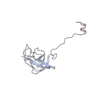 20056_6ogf_Q_v1-1
70S termination complex with RF2 bound to the UGA codon. Partially rotated ribosome with RF2 bound (Structure III).