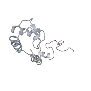 20056_6ogf_R_v1-1
70S termination complex with RF2 bound to the UGA codon. Partially rotated ribosome with RF2 bound (Structure III).