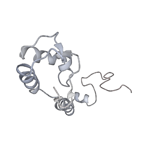 20056_6ogf_R_v1-2
70S termination complex with RF2 bound to the UGA codon. Partially rotated ribosome with RF2 bound (Structure III).