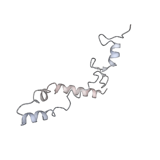 20056_6ogf_S_v1-1
70S termination complex with RF2 bound to the UGA codon. Partially rotated ribosome with RF2 bound (Structure III).