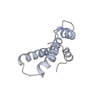 20056_6ogf_T_v1-2
70S termination complex with RF2 bound to the UGA codon. Partially rotated ribosome with RF2 bound (Structure III).