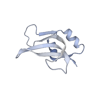 20056_6ogf_U_v1-1
70S termination complex with RF2 bound to the UGA codon. Partially rotated ribosome with RF2 bound (Structure III).