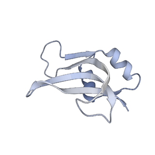 20056_6ogf_U_v1-2
70S termination complex with RF2 bound to the UGA codon. Partially rotated ribosome with RF2 bound (Structure III).