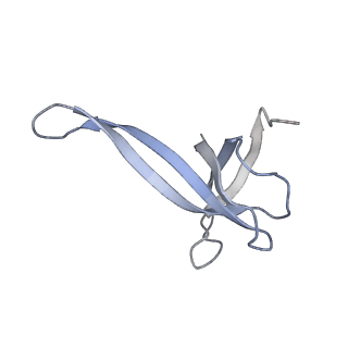 20056_6ogf_V_v1-2
70S termination complex with RF2 bound to the UGA codon. Partially rotated ribosome with RF2 bound (Structure III).