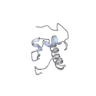 20056_6ogf_W_v1-2
70S termination complex with RF2 bound to the UGA codon. Partially rotated ribosome with RF2 bound (Structure III).