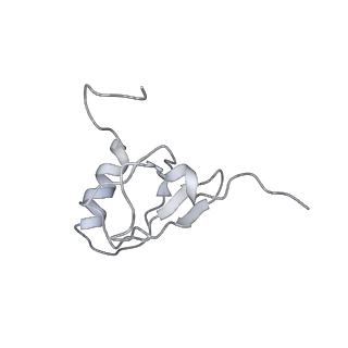 20056_6ogf_X_v1-1
70S termination complex with RF2 bound to the UGA codon. Partially rotated ribosome with RF2 bound (Structure III).