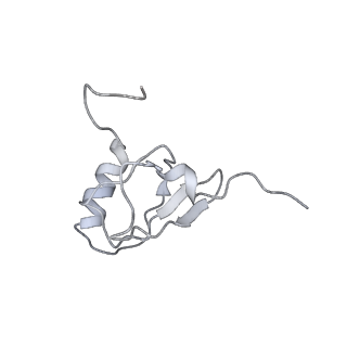 20056_6ogf_X_v1-2
70S termination complex with RF2 bound to the UGA codon. Partially rotated ribosome with RF2 bound (Structure III).