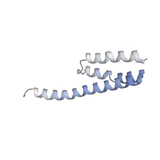 20056_6ogf_Y_v1-2
70S termination complex with RF2 bound to the UGA codon. Partially rotated ribosome with RF2 bound (Structure III).