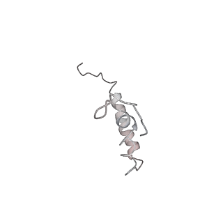 20056_6ogf_Z_v1-1
70S termination complex with RF2 bound to the UGA codon. Partially rotated ribosome with RF2 bound (Structure III).
