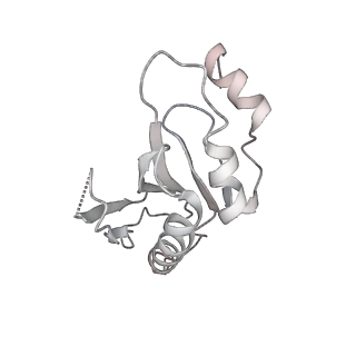 20056_6ogf_a_v1-1
70S termination complex with RF2 bound to the UGA codon. Partially rotated ribosome with RF2 bound (Structure III).