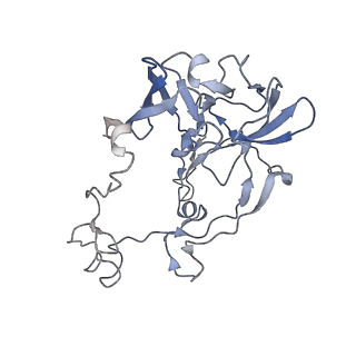 20056_6ogf_b_v1-2
70S termination complex with RF2 bound to the UGA codon. Partially rotated ribosome with RF2 bound (Structure III).