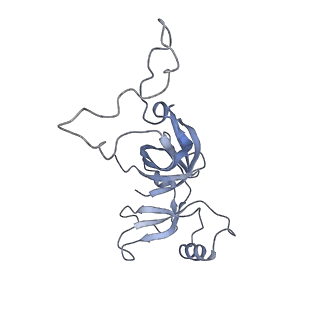 20056_6ogf_c_v1-1
70S termination complex with RF2 bound to the UGA codon. Partially rotated ribosome with RF2 bound (Structure III).