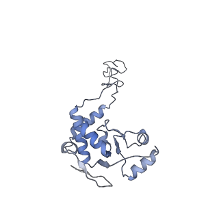 20056_6ogf_d_v1-1
70S termination complex with RF2 bound to the UGA codon. Partially rotated ribosome with RF2 bound (Structure III).