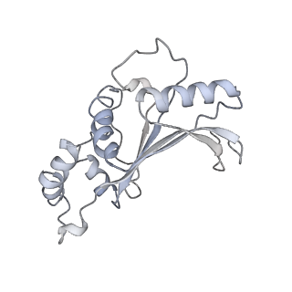 20056_6ogf_e_v1-1
70S termination complex with RF2 bound to the UGA codon. Partially rotated ribosome with RF2 bound (Structure III).