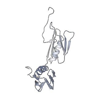 20056_6ogf_f_v1-1
70S termination complex with RF2 bound to the UGA codon. Partially rotated ribosome with RF2 bound (Structure III).