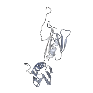 20056_6ogf_f_v1-2
70S termination complex with RF2 bound to the UGA codon. Partially rotated ribosome with RF2 bound (Structure III).