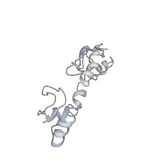 20056_6ogf_g_v1-2
70S termination complex with RF2 bound to the UGA codon. Partially rotated ribosome with RF2 bound (Structure III).