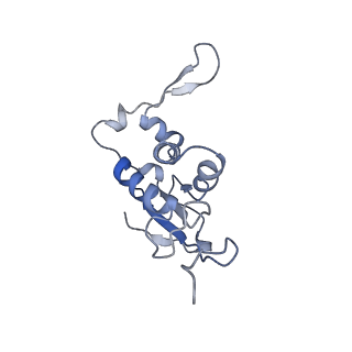 20056_6ogf_j_v1-1
70S termination complex with RF2 bound to the UGA codon. Partially rotated ribosome with RF2 bound (Structure III).