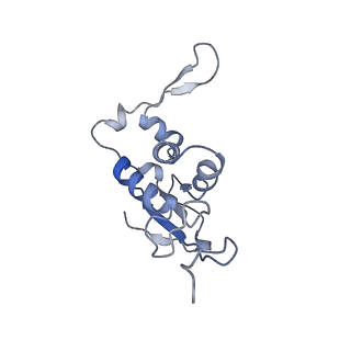 20056_6ogf_j_v1-2
70S termination complex with RF2 bound to the UGA codon. Partially rotated ribosome with RF2 bound (Structure III).