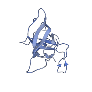 20056_6ogf_k_v1-1
70S termination complex with RF2 bound to the UGA codon. Partially rotated ribosome with RF2 bound (Structure III).