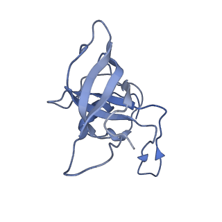 20056_6ogf_k_v1-2
70S termination complex with RF2 bound to the UGA codon. Partially rotated ribosome with RF2 bound (Structure III).