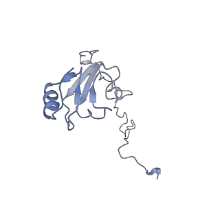 20056_6ogf_l_v1-1
70S termination complex with RF2 bound to the UGA codon. Partially rotated ribosome with RF2 bound (Structure III).