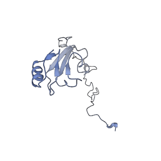 20056_6ogf_l_v1-2
70S termination complex with RF2 bound to the UGA codon. Partially rotated ribosome with RF2 bound (Structure III).