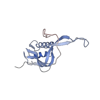 20056_6ogf_m_v1-1
70S termination complex with RF2 bound to the UGA codon. Partially rotated ribosome with RF2 bound (Structure III).