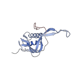 20056_6ogf_m_v1-2
70S termination complex with RF2 bound to the UGA codon. Partially rotated ribosome with RF2 bound (Structure III).