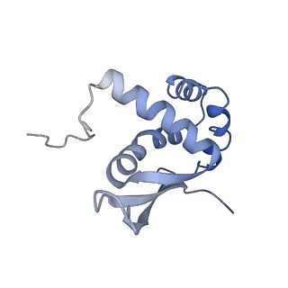 20056_6ogf_n_v1-2
70S termination complex with RF2 bound to the UGA codon. Partially rotated ribosome with RF2 bound (Structure III).