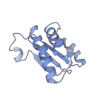 20056_6ogf_o_v1-2
70S termination complex with RF2 bound to the UGA codon. Partially rotated ribosome with RF2 bound (Structure III).