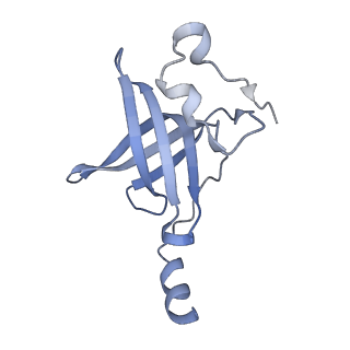 20056_6ogf_p_v1-2
70S termination complex with RF2 bound to the UGA codon. Partially rotated ribosome with RF2 bound (Structure III).