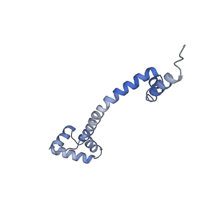 20056_6ogf_q_v1-1
70S termination complex with RF2 bound to the UGA codon. Partially rotated ribosome with RF2 bound (Structure III).