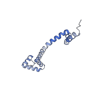 20056_6ogf_q_v1-2
70S termination complex with RF2 bound to the UGA codon. Partially rotated ribosome with RF2 bound (Structure III).