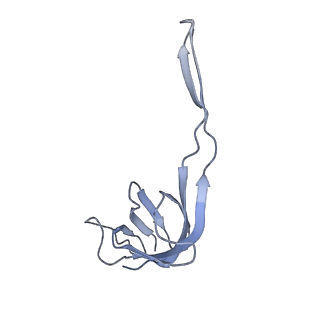 20056_6ogf_r_v1-2
70S termination complex with RF2 bound to the UGA codon. Partially rotated ribosome with RF2 bound (Structure III).