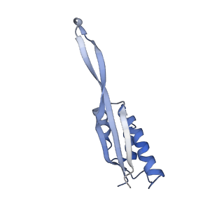 20056_6ogf_s_v1-1
70S termination complex with RF2 bound to the UGA codon. Partially rotated ribosome with RF2 bound (Structure III).