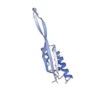 20056_6ogf_s_v1-2
70S termination complex with RF2 bound to the UGA codon. Partially rotated ribosome with RF2 bound (Structure III).