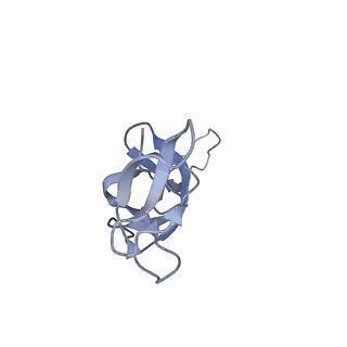 20056_6ogf_u_v1-1
70S termination complex with RF2 bound to the UGA codon. Partially rotated ribosome with RF2 bound (Structure III).