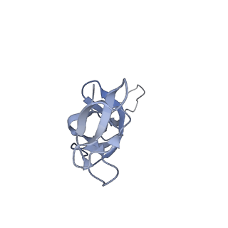 20056_6ogf_u_v1-2
70S termination complex with RF2 bound to the UGA codon. Partially rotated ribosome with RF2 bound (Structure III).